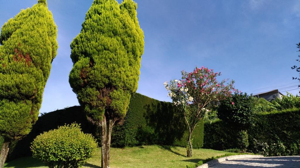 Vila Aboimhouse Amarante Exteriér fotografie